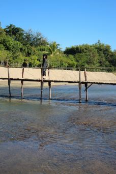 白河-拜县-莲子99