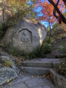 海棠山风景区-阜新县-186****3028