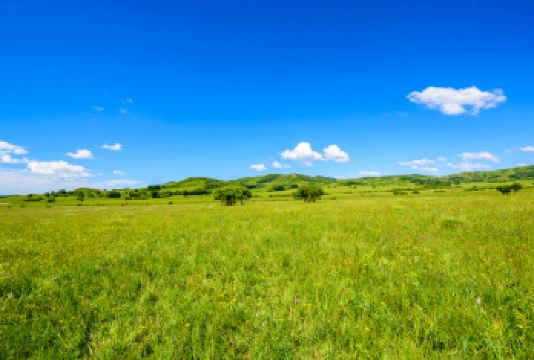 木兰围场+塞罕坝+乌兰布统1日游【独立成团 随走随停】【品质承诺 精致打造】