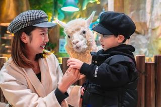 冬日魔都遛娃,一年四季都能玩的水上乐园