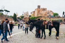 君士坦丁凯旋门-罗马-suifeng2019