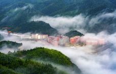 大洞竹海-盘州-C-IMAGE