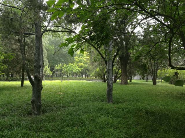 北京东单公园游玩攻略简介,北京东单公园门票/地址/图片/开放时间/照片/门票价格【携程攻略】