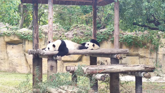 羅莊動物園