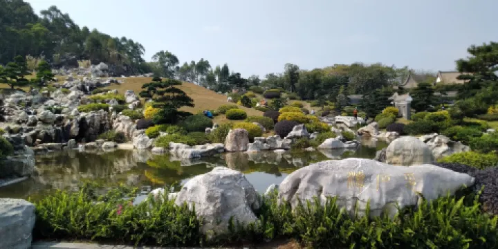 南寧園博園-羅漢松園