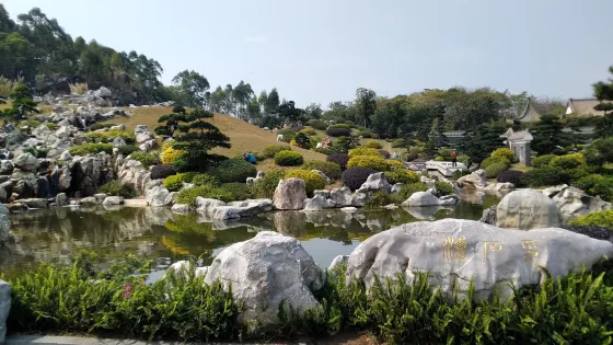南寧園博園-羅漢松園