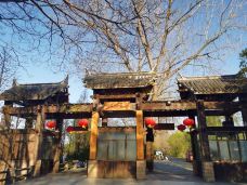 溱湖国家湿地公园-泰州-TC木易