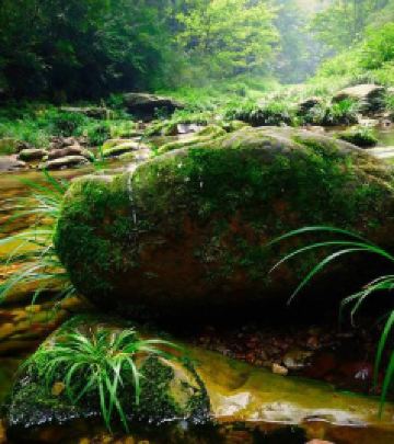 天门山索道/天门山森林公园游记图文-四月踏青季节，跟着我的镜头，我带你去张家界看最美的风景