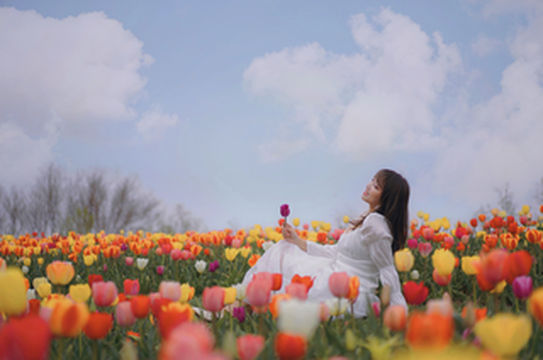什么宝藏花园！在北京鲜花港看到荷兰的模样