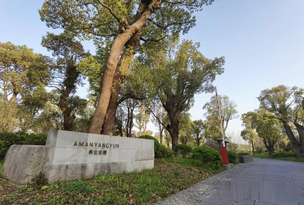 睡进安缦，上海最贵酒店值得住吗？