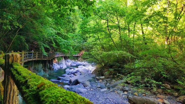纳凉避暑看这里!21°的巴山大草原,等你呼朋唤友“一起做神仙”