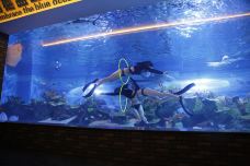 海滨城浩海立方海洋公园-成都-C-IMAGE