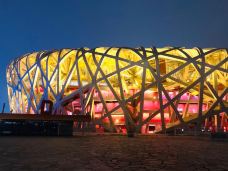 国家体育馆-北京-老鹰在飞翔