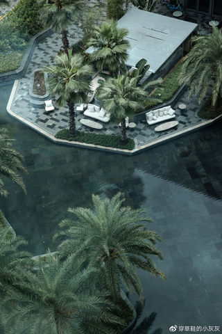 回归自然,深圳人的城中花园度假首选