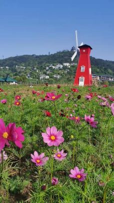 苏州海洋馆-苏州-YoYo_4L9S8Y4B