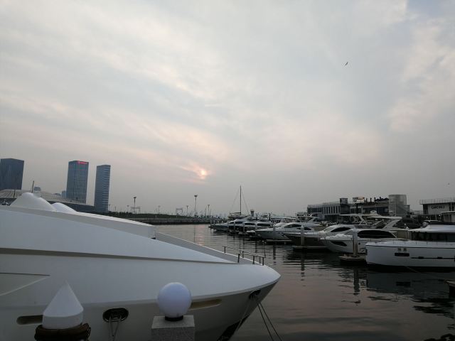 东港音乐喷泉广场旅行图片 3
