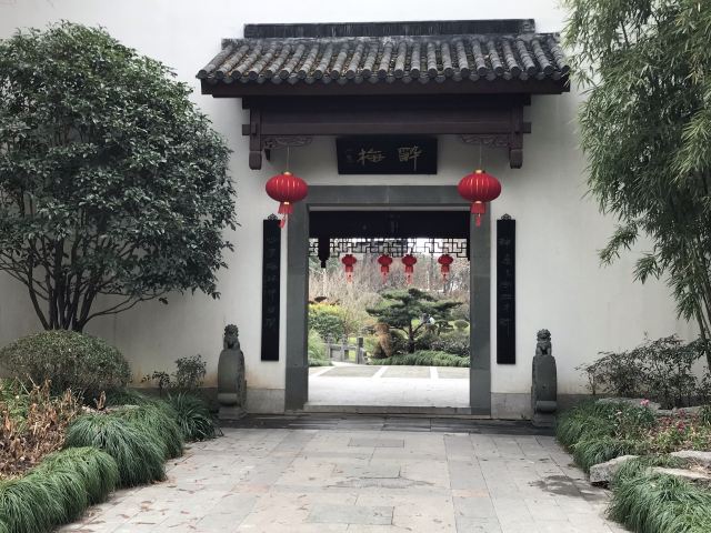 莘庄公园旅行图片 5