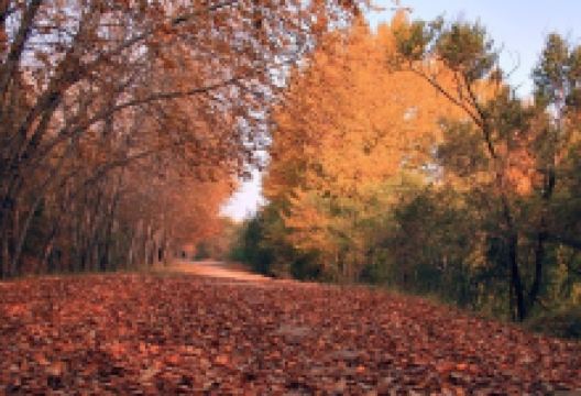 仙人多肉植物园购物图片