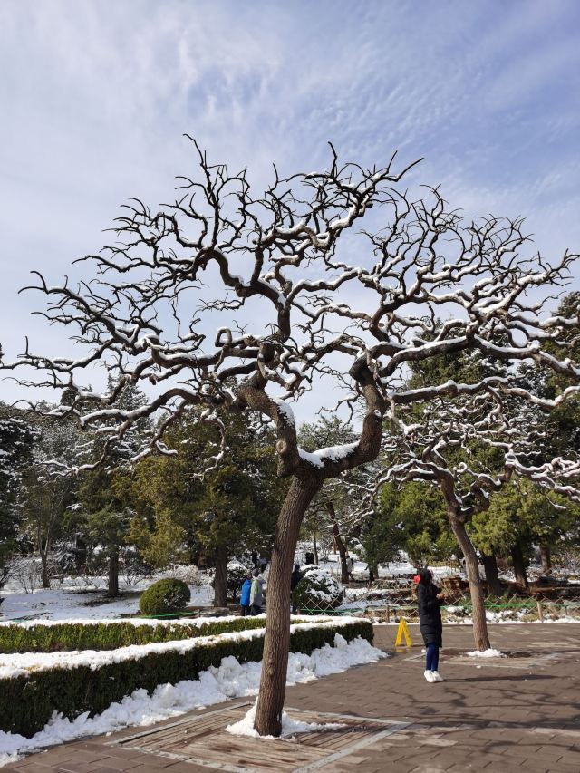 东单公园旅行图片 3