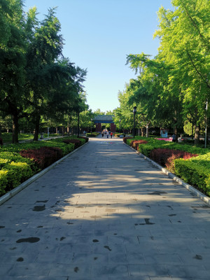 北京市地坛公园