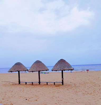 这个夏天的大热-来自北纬37°的威海