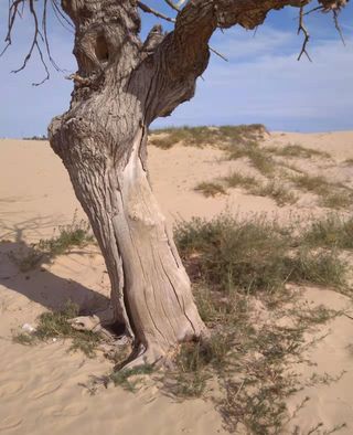 自驾游记 从沙漠到海边 塔敏查干 大青湖 承德避暑山庄 南戴河 北戴河
