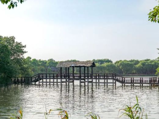 苏州太湖国家湿地公园