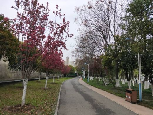 汉江江滩公园