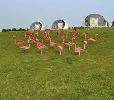 金沙岛-乐亭-YoYo_3H0E0J0G