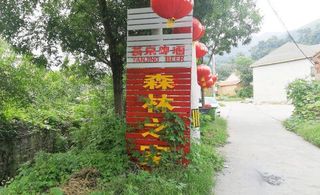 北京平谷京东大峡谷森林之家农家院，10年老店，仅160住宿含三餐