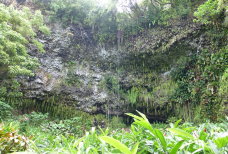 羊齿洞穴-考艾岛