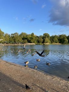 海德公园-伦敦-YoYo_4U8E3U0C