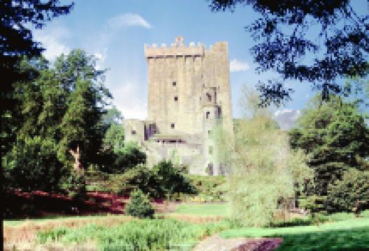 沃特福德旅游图片-布拉尼+科克一日游