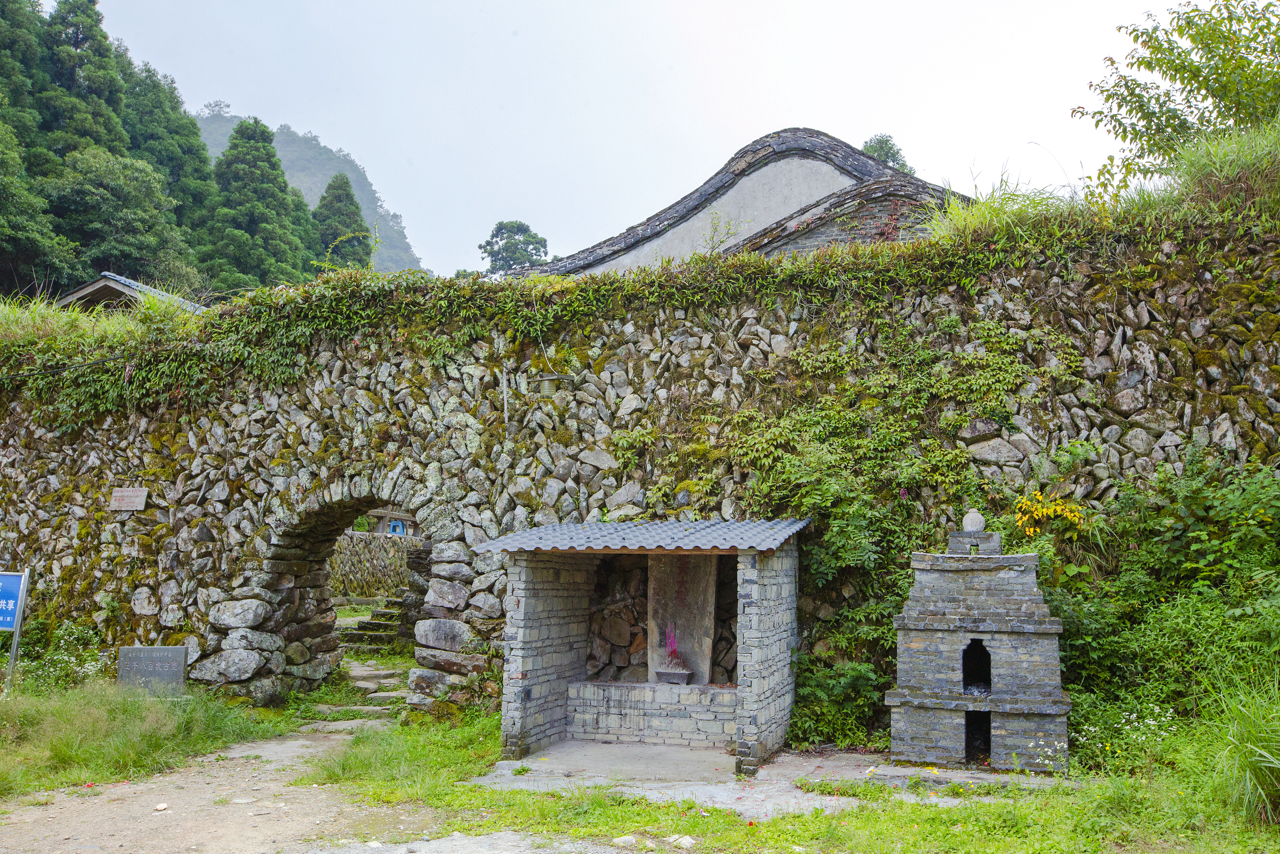 4-Day Nanping Tour: Wuyishan's natural wonders, Impression Dahongpao cultural experience