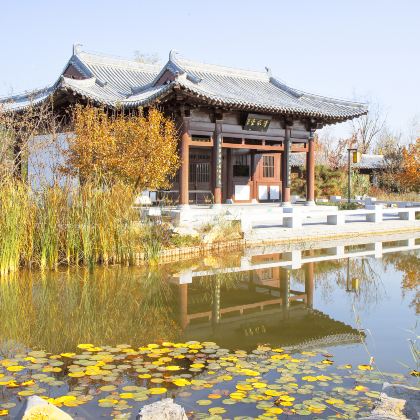 沧州+狮城公园+沧州园博园+清风楼+吴桥杂技大世界-江湖文化城+舍利塔+古运河风景区+河北线装书博物馆5日4晚私家团