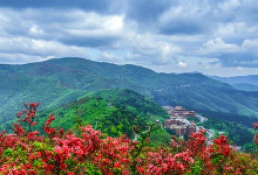 阳明山国家森林公园景点图片