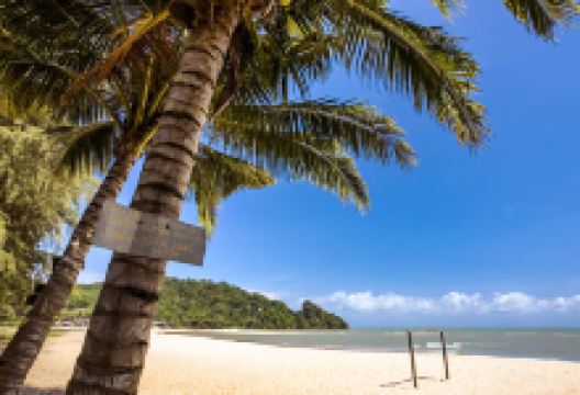 珍拉丁湾景点图片