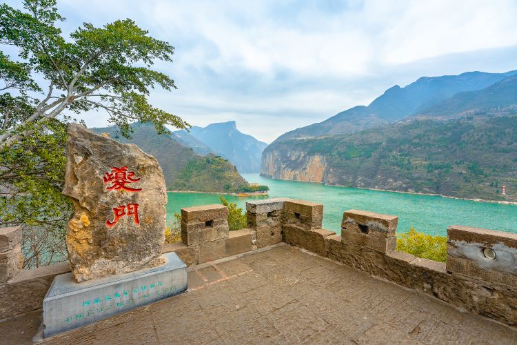 旅行社哪家好,横向对比看细节