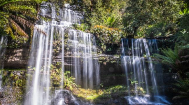 費爾德山國家公園