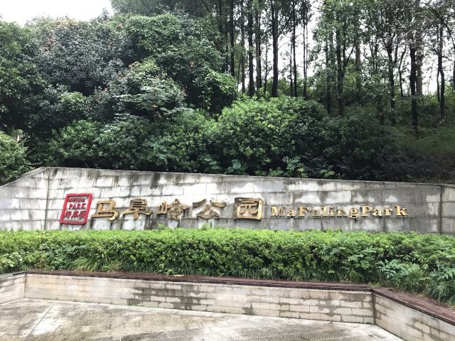 马阜岭公园旅行图片 2