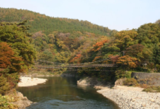 荒川峡もみじライン景点图片