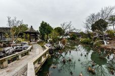 南湖景区-嘉兴-山野幽居