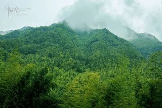 转眼已是立春，明月山不仅免门票，还有一大波精彩活动等着你
