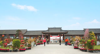 百亩鲜花世界，超大游乐王国，成都附近赏最美春光