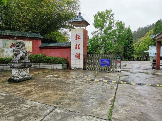 杜鹃湖旅行图片 2