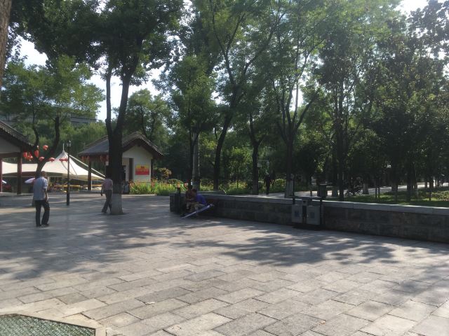 莲湖公园旅行图片 5