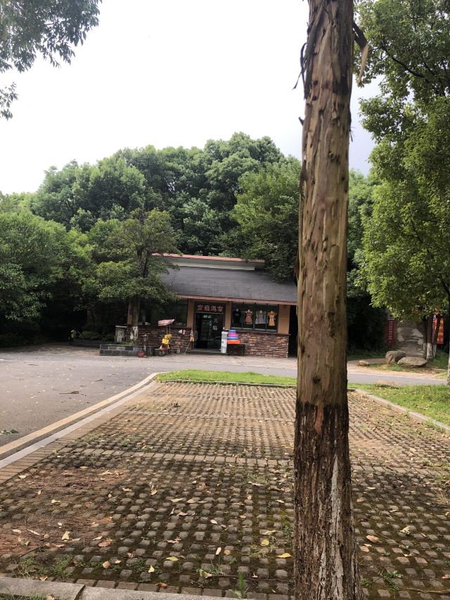 南湖景区旅行图片 3
