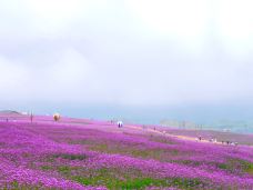 锦绣田园-贵阳-C-IMAGE