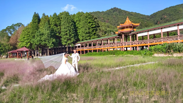 到梅州清凉山郊野公园赏花海长廊,观儿童戏水,品尝客家特色小吃