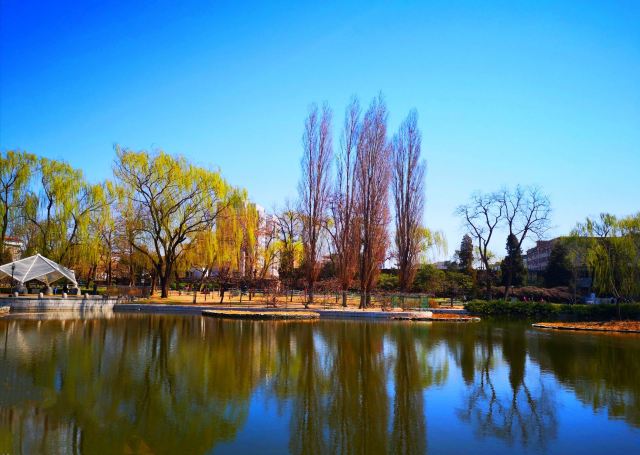 人定湖公园旅行图片 1
